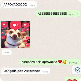 cliente aprovado no visto americano 1